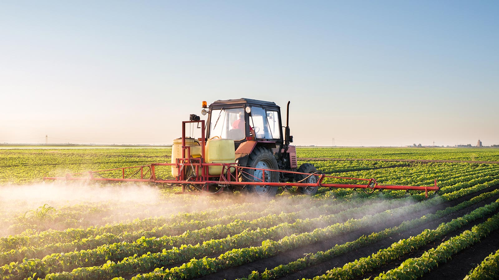 Tóxicos en los alimentos